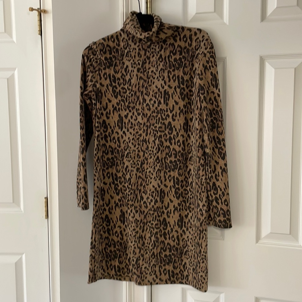 Zara dress